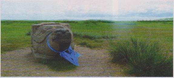 Ancient tutle statue on plains of Asia that stood at the gate of capital of the biggest land empire in history. The city is gone. Nothing else but grass is in the picture.